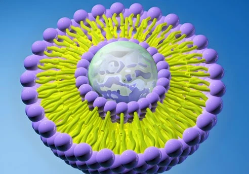 Nefiracetam Liquid Price | Shaanxi BLOOM Tech Co., Ltd Nefiracetam Liquid Price | Shaanxi BLOOM Tech Co., Ltd