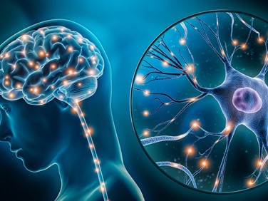 Sulfadiazine Powder Neurological Response | Shaanxi BLOOM Tech Co., Ltd Sulfadiazine Powder Neurological Response | Shaanxi BLOOM Tech Co., Ltd