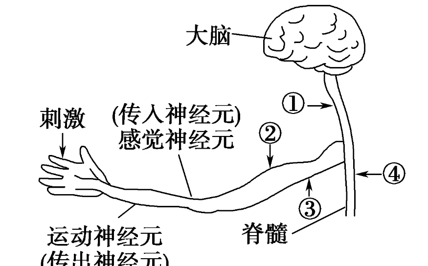 Benzophenone drug | Shaanxi BLOOM Tech Co., Ltd Benzophenone drug | Shaanxi BLOOM Tech Co., Ltd